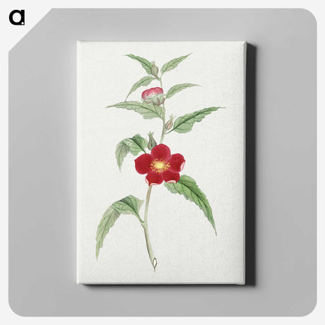 1-10_19th-Century-Japanese-Flowers_canvas