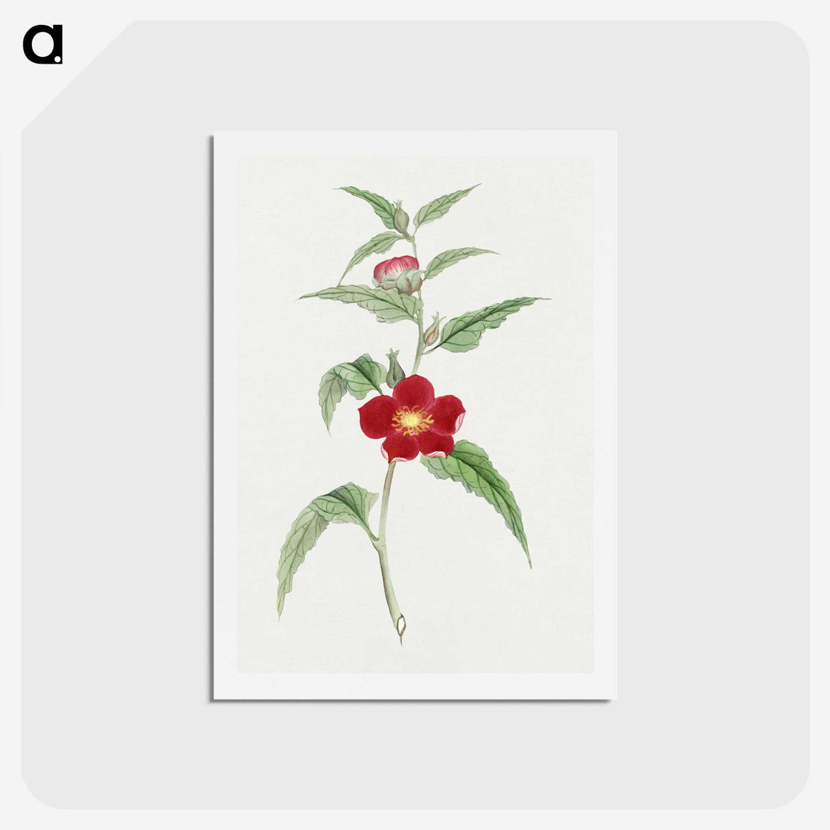 1-10_19th-Century-Japanese-Flowers_hagaki