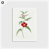 1-10_19th-Century-Japanese-Flowers_hagaki