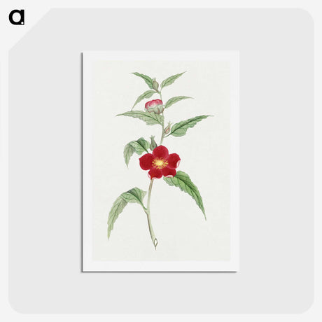 1-10_19th-Century-Japanese-Flowers_hagaki