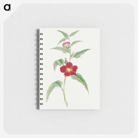 1-10_19th-Century-Japanese-Flowers_memo