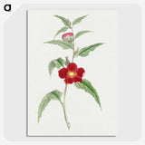1-10_19th-Century-Japanese-Flowers_picture-crop