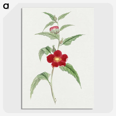 1-10_19th-Century-Japanese-Flowers_picture-crop