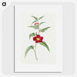 1-10_19th-Century-Japanese-Flowers_picture
