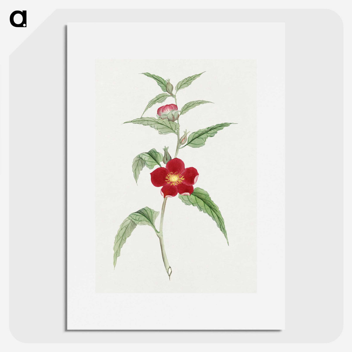 1-10_19th-Century-Japanese-Flowers_picture