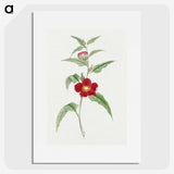 1-10_19th-Century-Japanese-Flowers_picture
