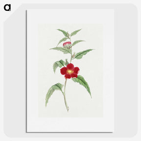 1-10_19th-Century-Japanese-Flowers_picture