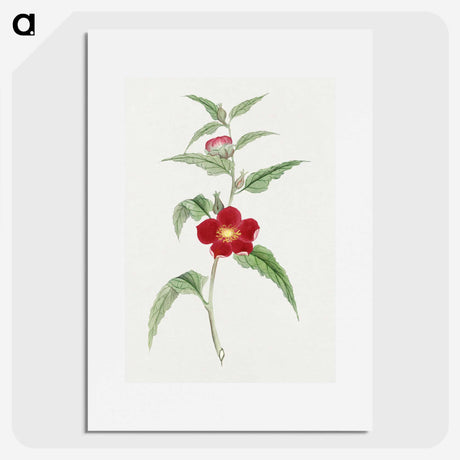 1-10_19th-Century-Japanese-Flowers_picture