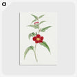 1-10_19th-Century-Japanese-Flowers_postcard