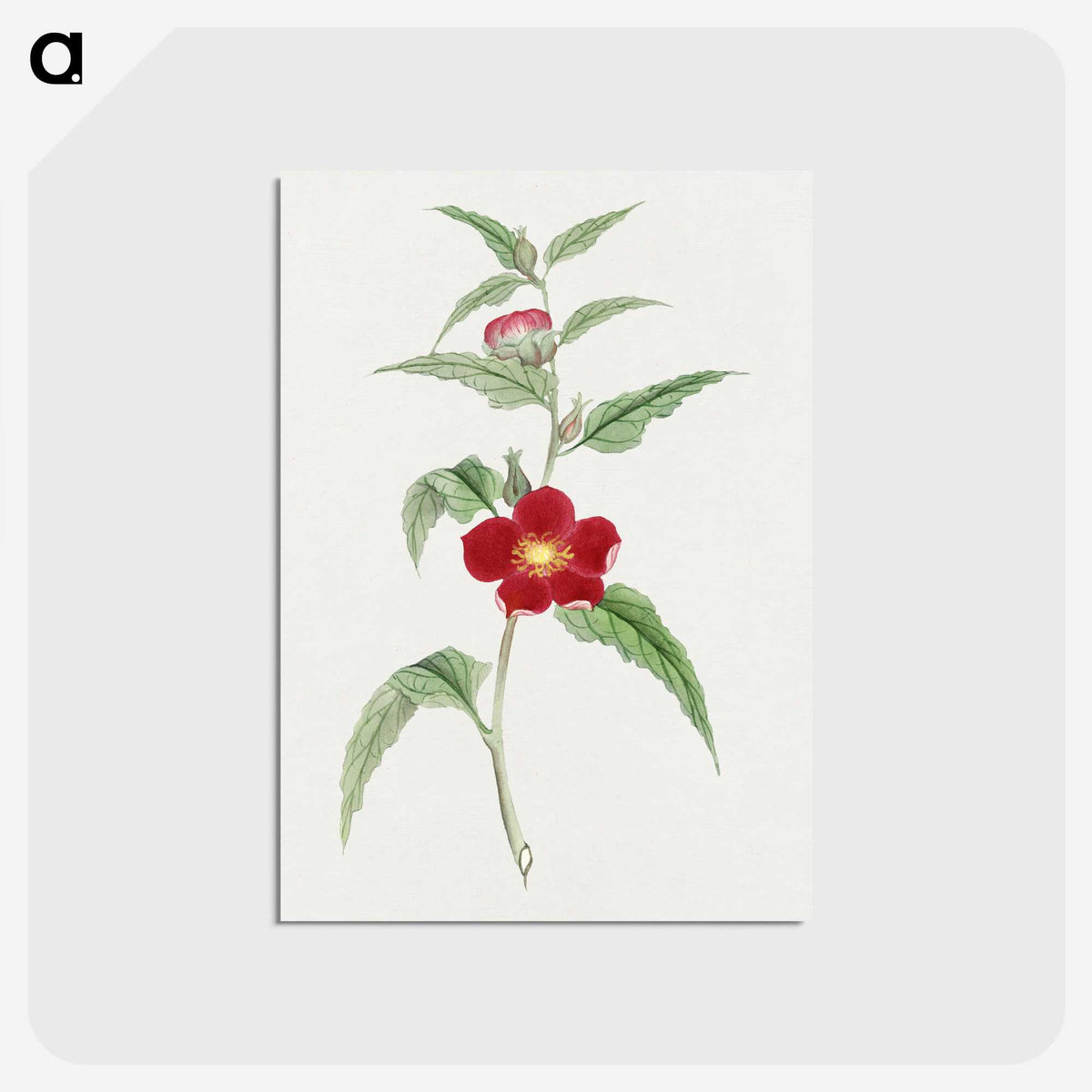 1-10_19th-Century-Japanese-Flowers_postcard