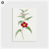 1-10_19th-Century-Japanese-Flowers_postcard