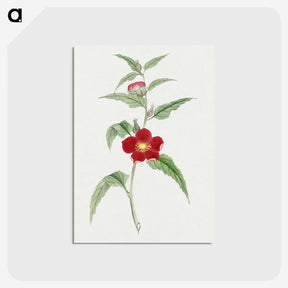 1-10_19th-Century-Japanese-Flowers_postcard