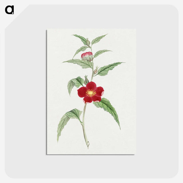 1-10_19th-Century-Japanese-Flowers_postcard