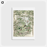 アートポストカード-Aviary with fourteen birds - アールト シューマン Postcard.