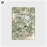 アートポストカード-Aviary with fourteen birds - アールト シューマン Postcard.