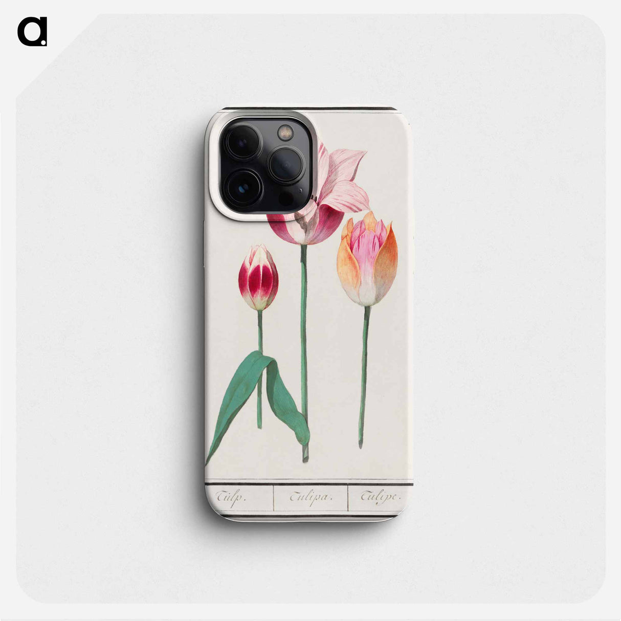 Tulip - アンセルムス ボエティウス デ ブート Phone Case.