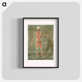 アートポスター-This fascinating collection of anatomical illustrations - アルノルド エロイ ゴーティエ ダゴティ Poster.