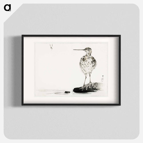 Common Snipe, Illustration from Bijutsu Sekai
 - 美術世界 Poster.