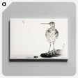 アートパネル-Common Snipe, Illustration from Bijutsu Sekai
 - 美術世界 Canvas.