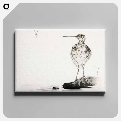アートパネル-Common Snipe, Illustration from Bijutsu Sekai
 - 美術世界 Canvas.