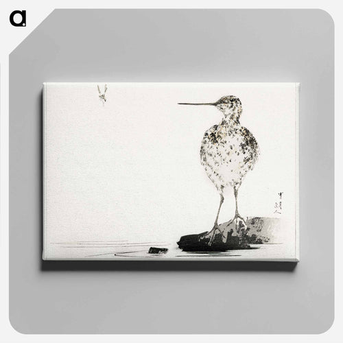 Common Snipe, Illustration from Bijutsu Sekai
 - 美術世界 Canvas.