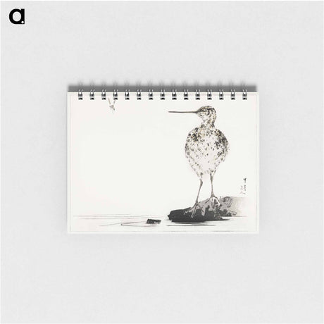 アートメモ帳-Common Snipe, Illustration from Bijutsu Sekai
 - 美術世界 Memo.