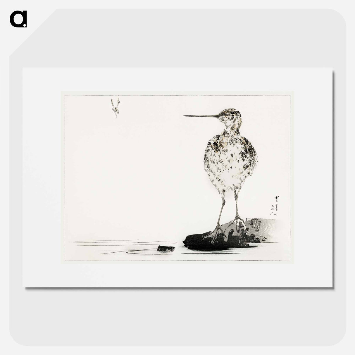 アートポスター-Common Snipe, Illustration from Bijutsu Sekai
 - 美術世界 Poster.