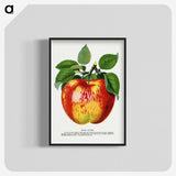1-10_Botanical-Specimen-Plates_blk-crop