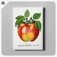 1-10_Botanical-Specimen-Plates_canvas
