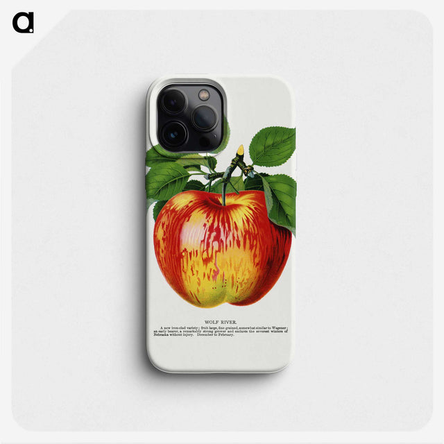 1-10_Botanical-Specimen-Plates_phone