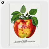 1-10_Botanical-Specimen-Plates_picture-crop