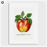1-10_Botanical-Specimen-Plates_picture