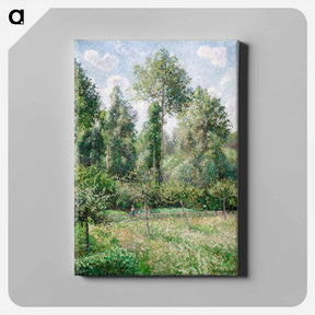アートパネル-Poplars, Éragny - カミーユ ピサロ Canvas.