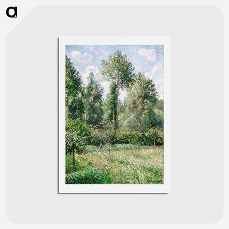 アートポストカード-Poplars, Éragny - カミーユ ピサロ Postcard.