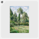 アートポストカード-Poplars, Éragny - カミーユ ピサロ Postcard.