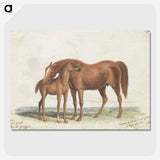 1-10_Charles-Hamilton-Smith_picture-crop