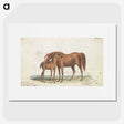 1-10_Charles-Hamilton-Smith_picture
