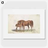 1-10_Charles-Hamilton-Smith_picture