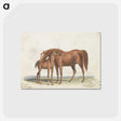 1-10_Charles-Hamilton-Smith_postcard