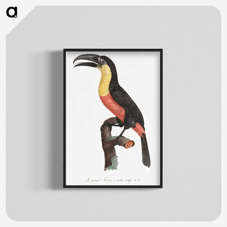 1-10_Des-Oiseaux-de-Paradis_blk-crop