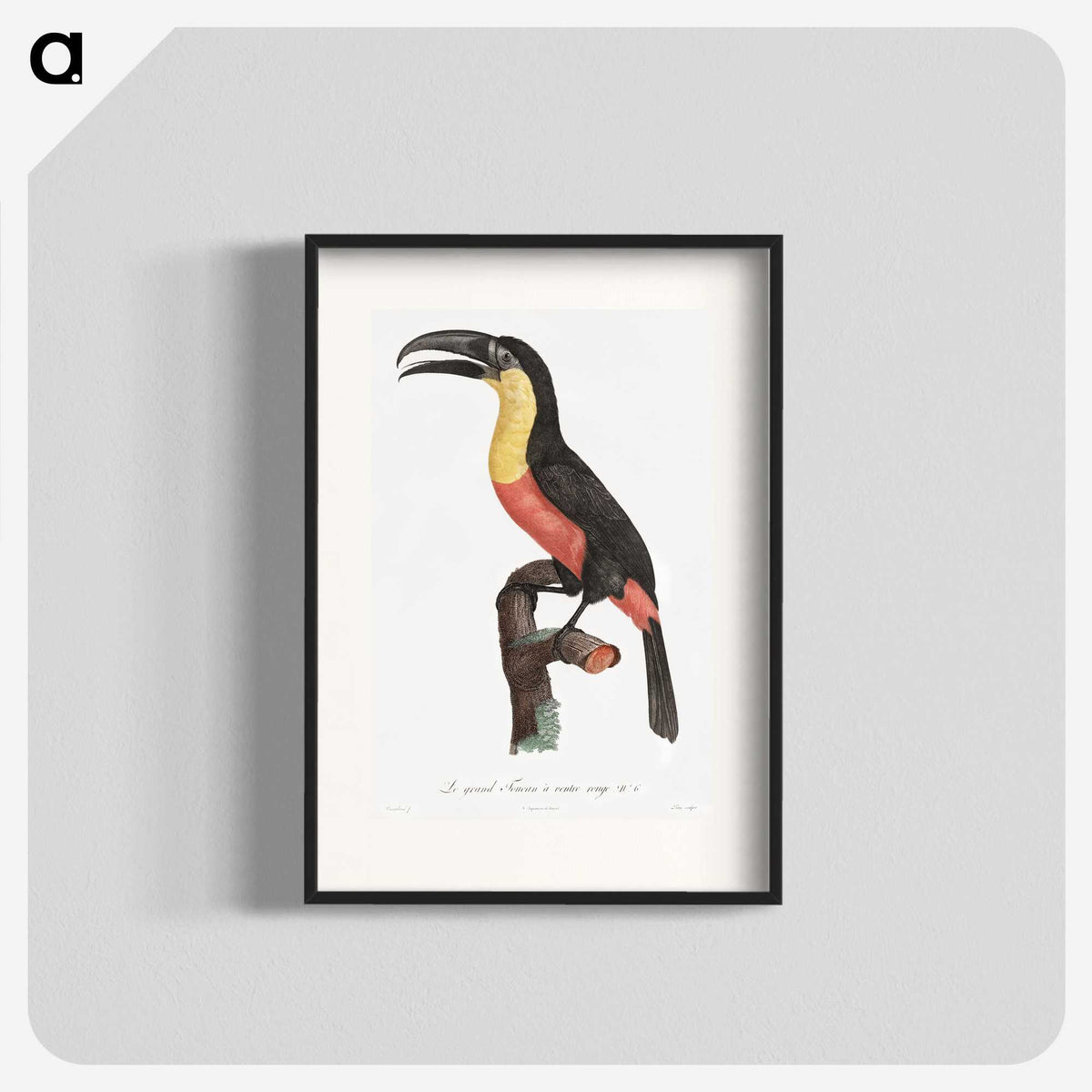 1-10_Des-Oiseaux-de-Paradis_blk