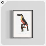 1-10_Des-Oiseaux-de-Paradis_blk
