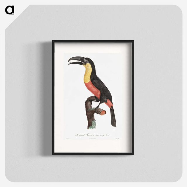 1-10_Des-Oiseaux-de-Paradis_blk