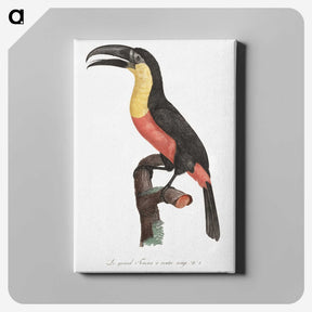 1-10_Des-Oiseaux-de-Paradis_canvas