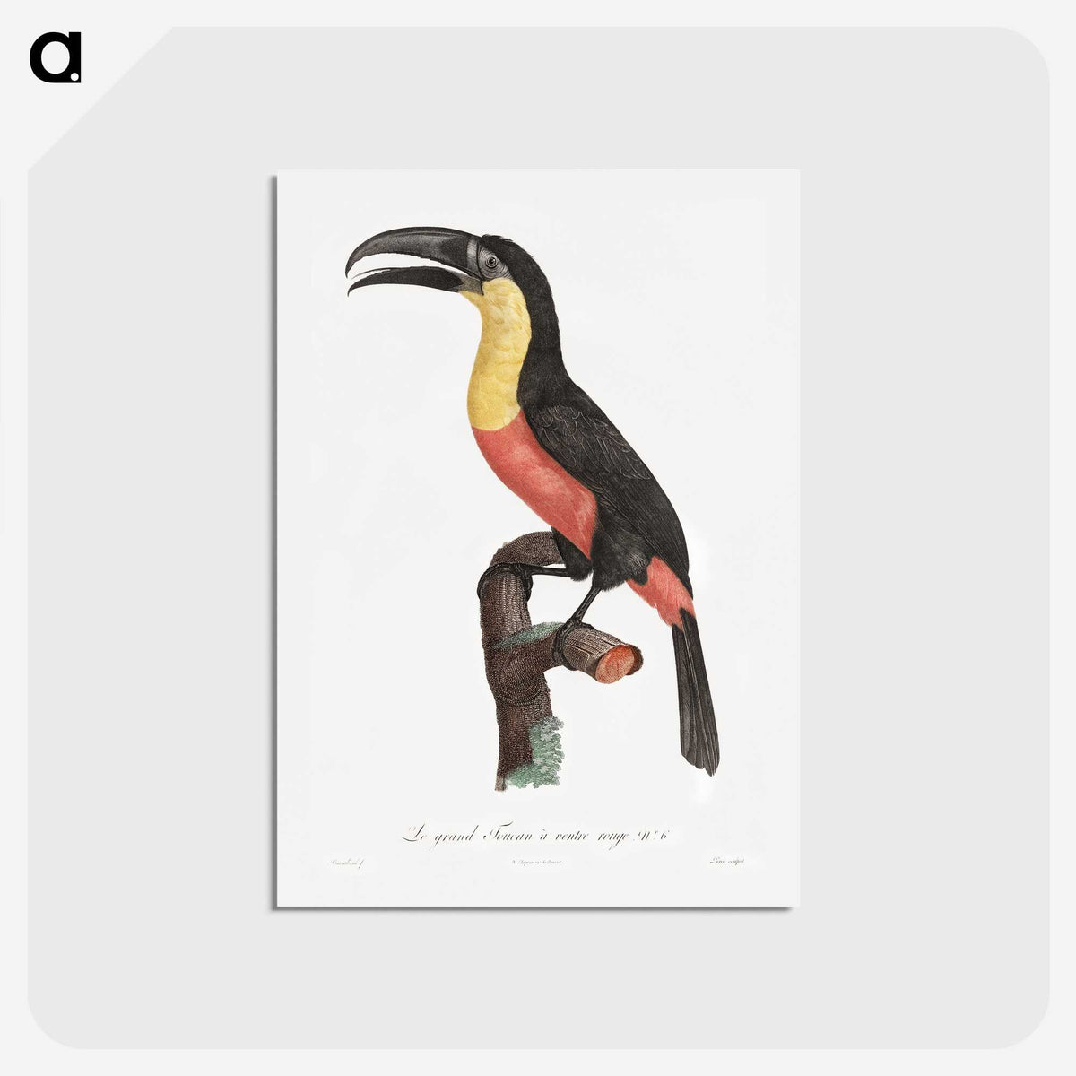 1-10_Des-Oiseaux-de-Paradis_hagaki