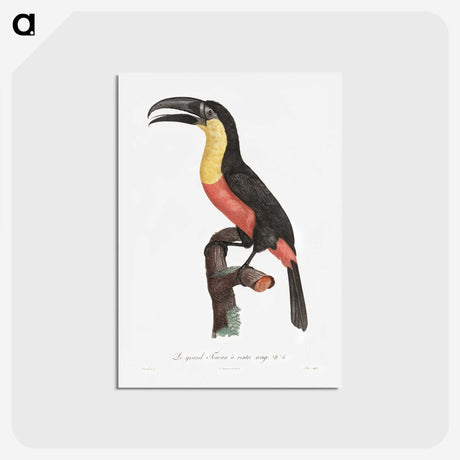 1-10_Des-Oiseaux-de-Paradis_hagaki