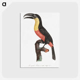 1-10_Des-Oiseaux-de-Paradis_postcard