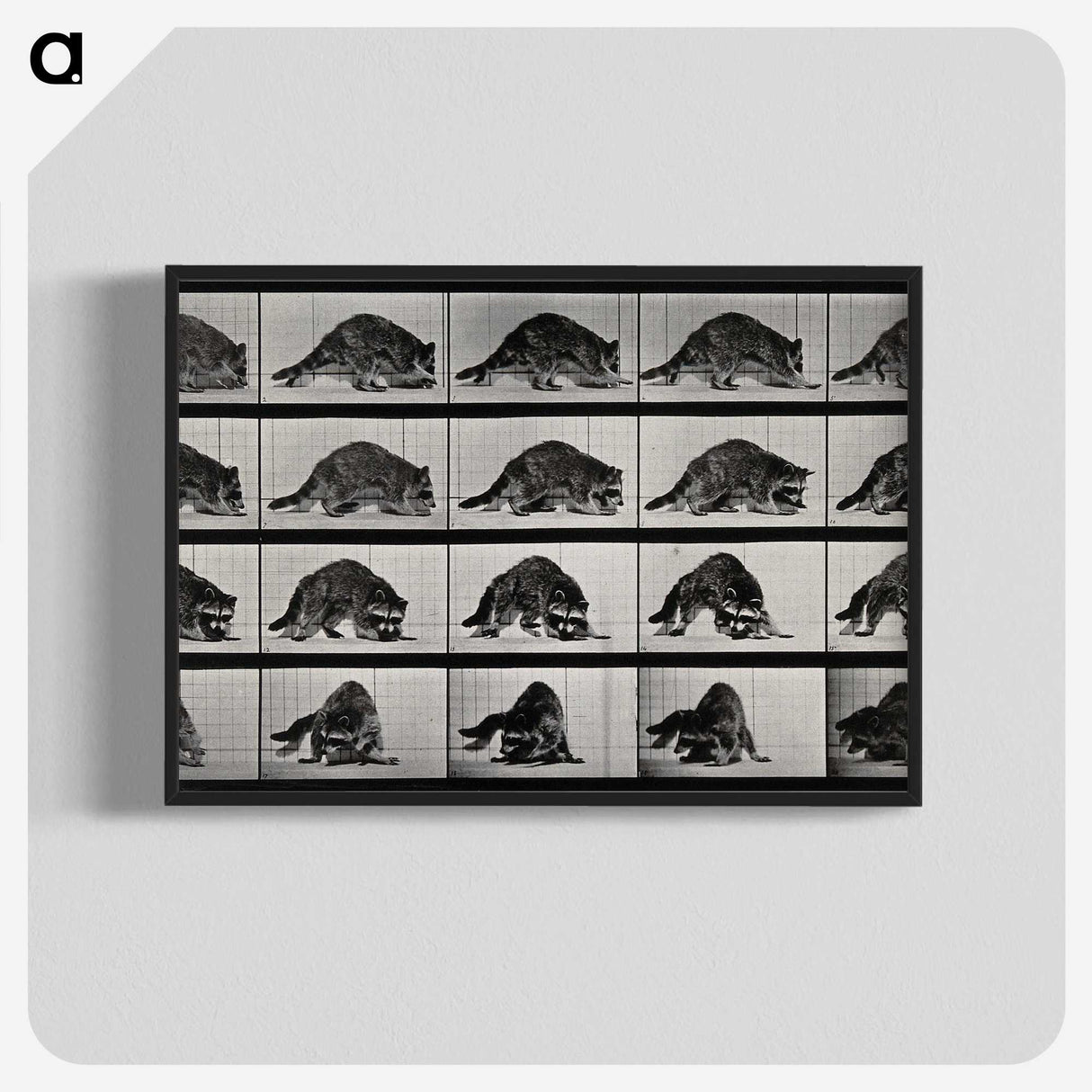 1-10_Eadweard-Muybridge_blk-crop