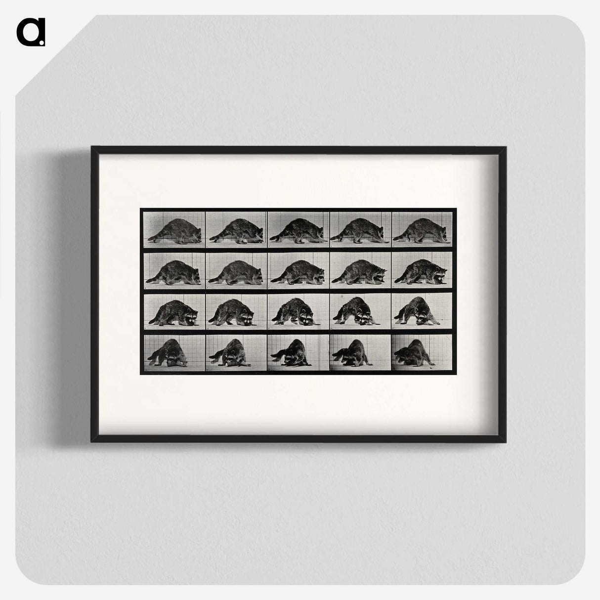 1-10_Eadweard-Muybridge_blk
