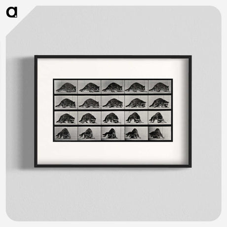 1-10_Eadweard-Muybridge_blk
